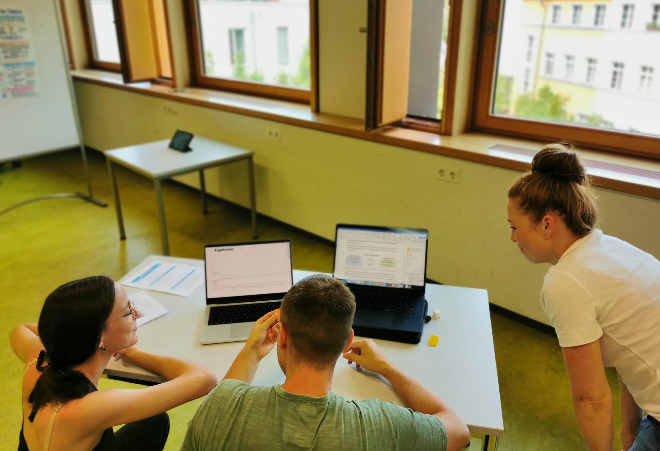 Diskussion der Ergebnisse mit interessiertem Publikum